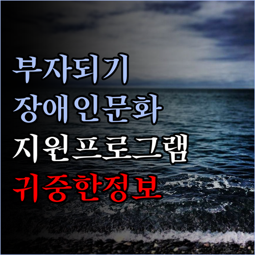 장애인 문화예술 지원 프로그램을 통해