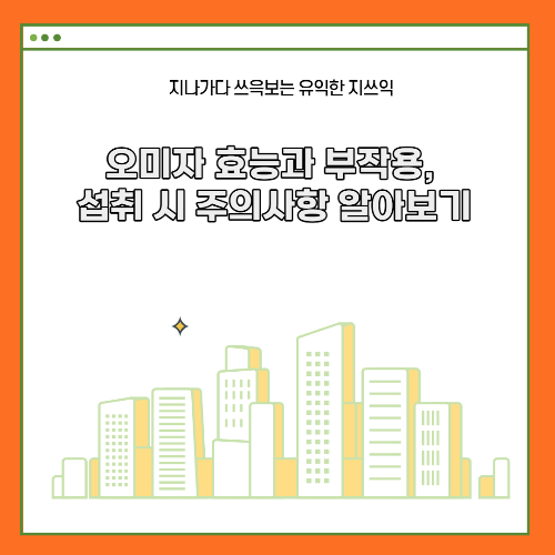 오미자 효능과 부작용, 섭취 시 주의사항 알아보기