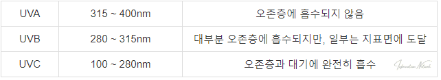 자외선의 파장 영역과 흡수 수준