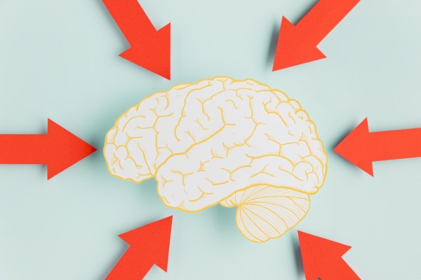 스트레스와 뇌의 구조 변화