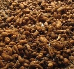 토란 뿌리 효능 부작용 고르는법 칼로리