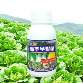 김장배추 웃거름비료 주는시기와 방법을 안내_17