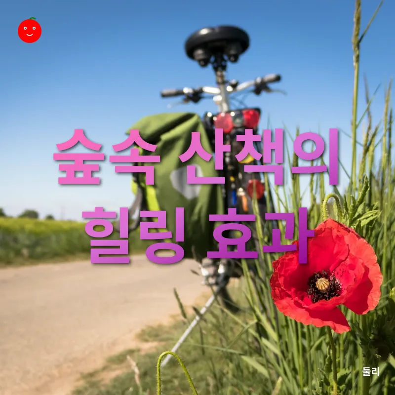 건강과 가족활동_1