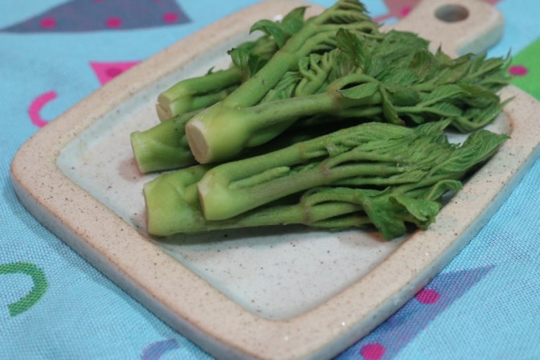 두릅손질-데친두릎