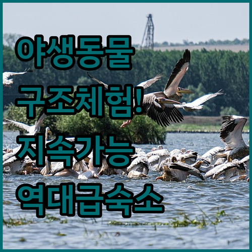 라사리아 네이처 리저브 야생 동물 구..