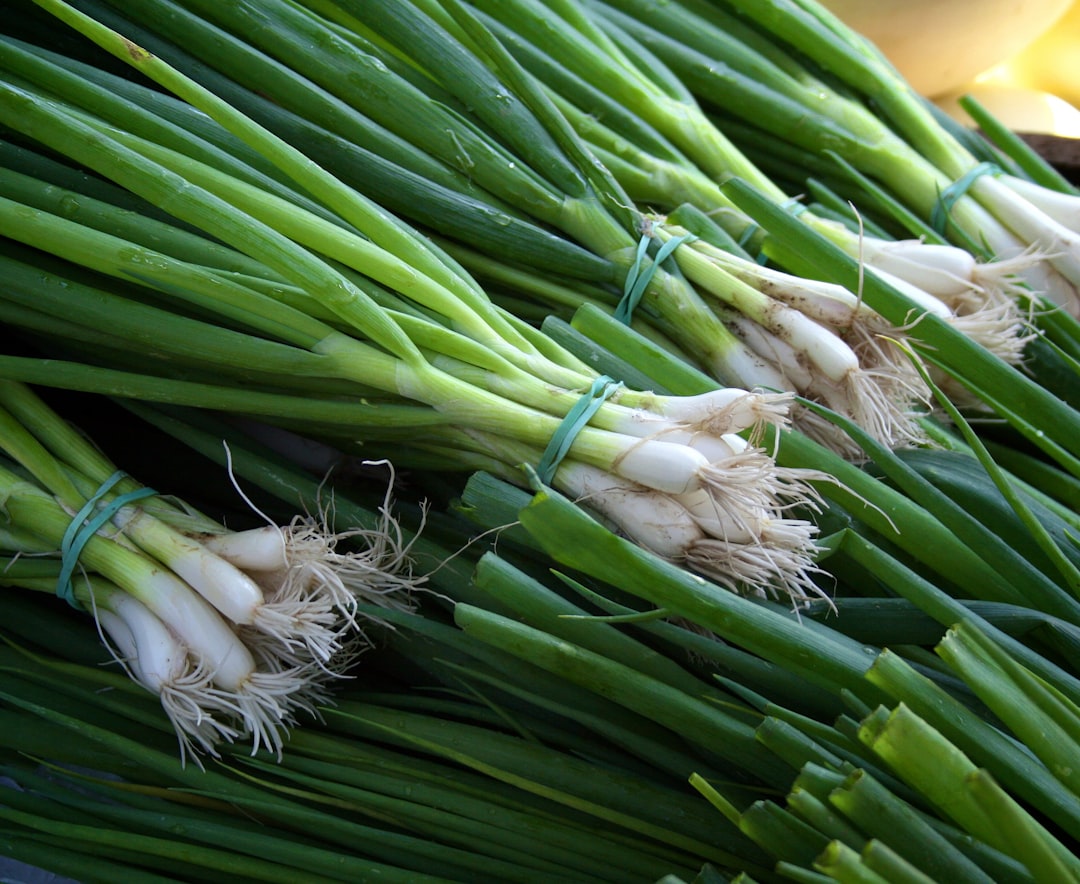Onion.