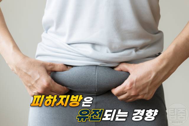 특정 부위 살빼기 가슴 얼굴 먼저