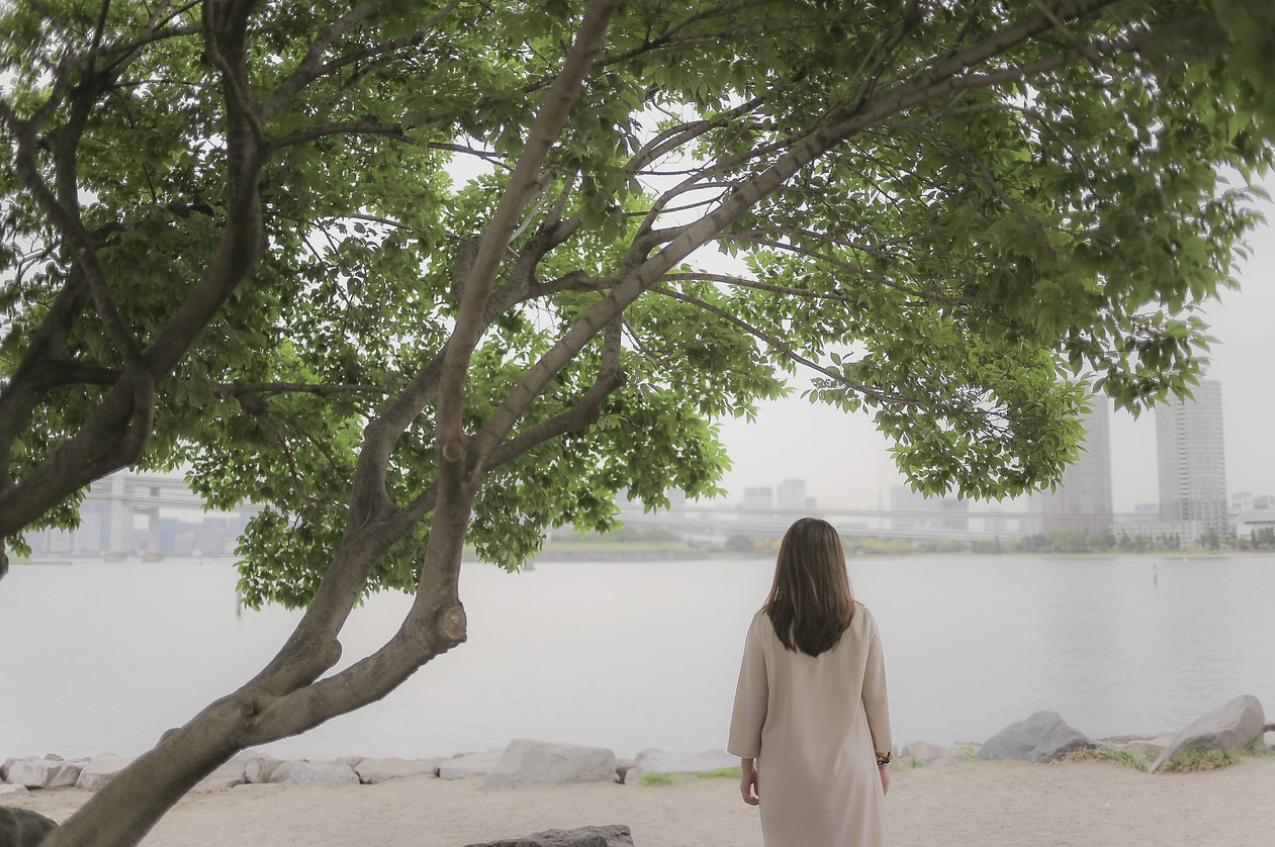 재생 농업 (Regenerative Agriculture): 지속 가능한 농업의 미래