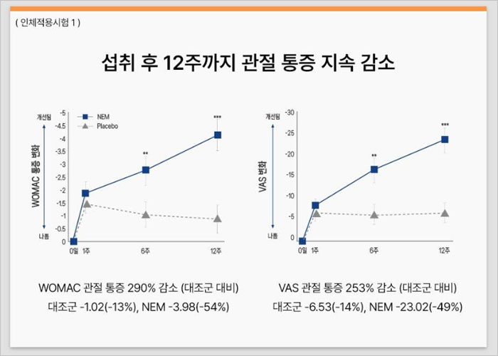 난각막가수분해물 인체시험결과 이미지