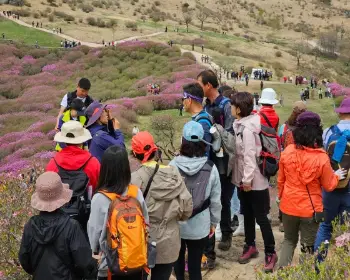 황매산 철쭉축제_17