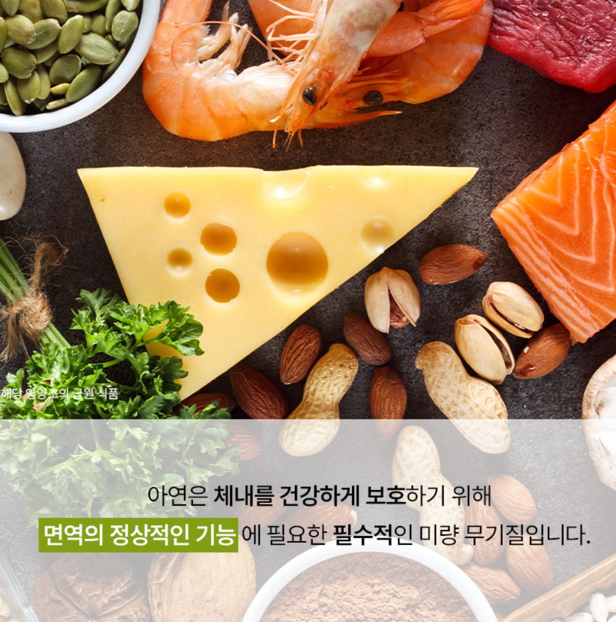 푸드올로지 빨간통 다이어트