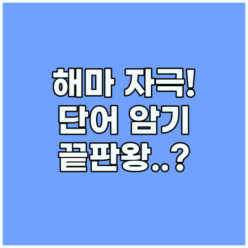 영어 단어 암기 게임 해마를 활성화하..