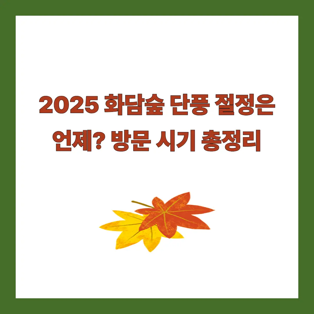 화담숲 단풍 절정 시기