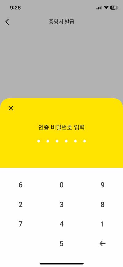 카카오뱅크 월세 이체확인증 PDF