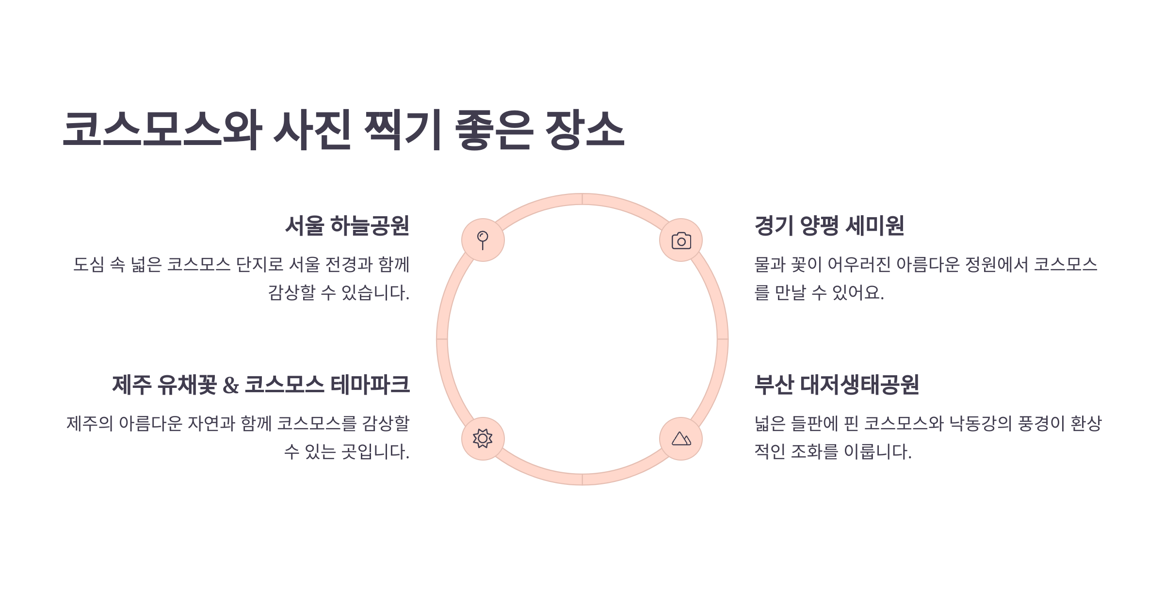코스모스