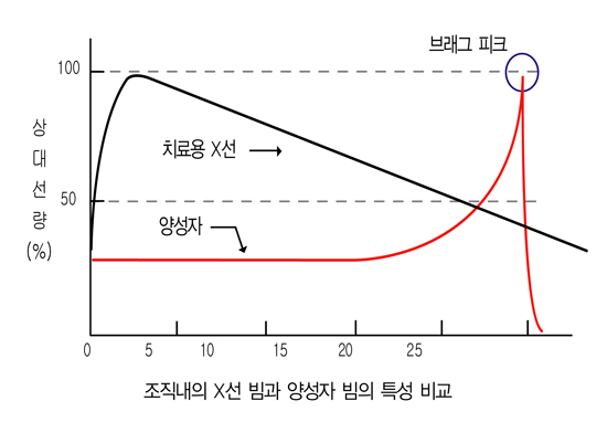 브래그피크-설명그림