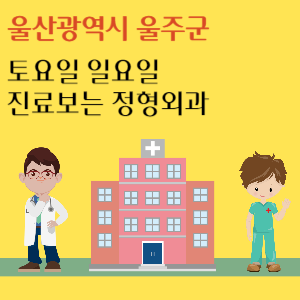 울산 울주군 토요일 일요일 정형외과 진료 병원 추천