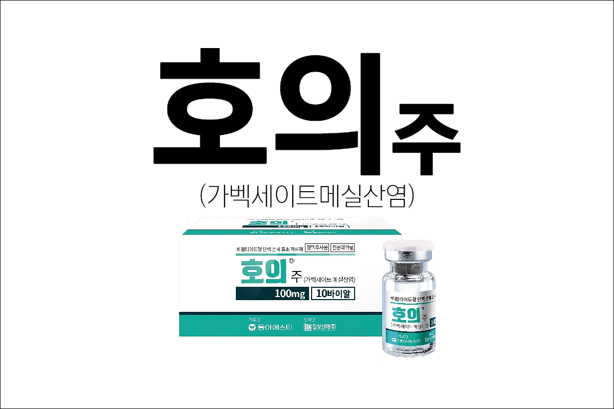 호의주 효능 효과 부작용 가벡세이트메실산염 췌장염 치료제 단백분해효소 저해제