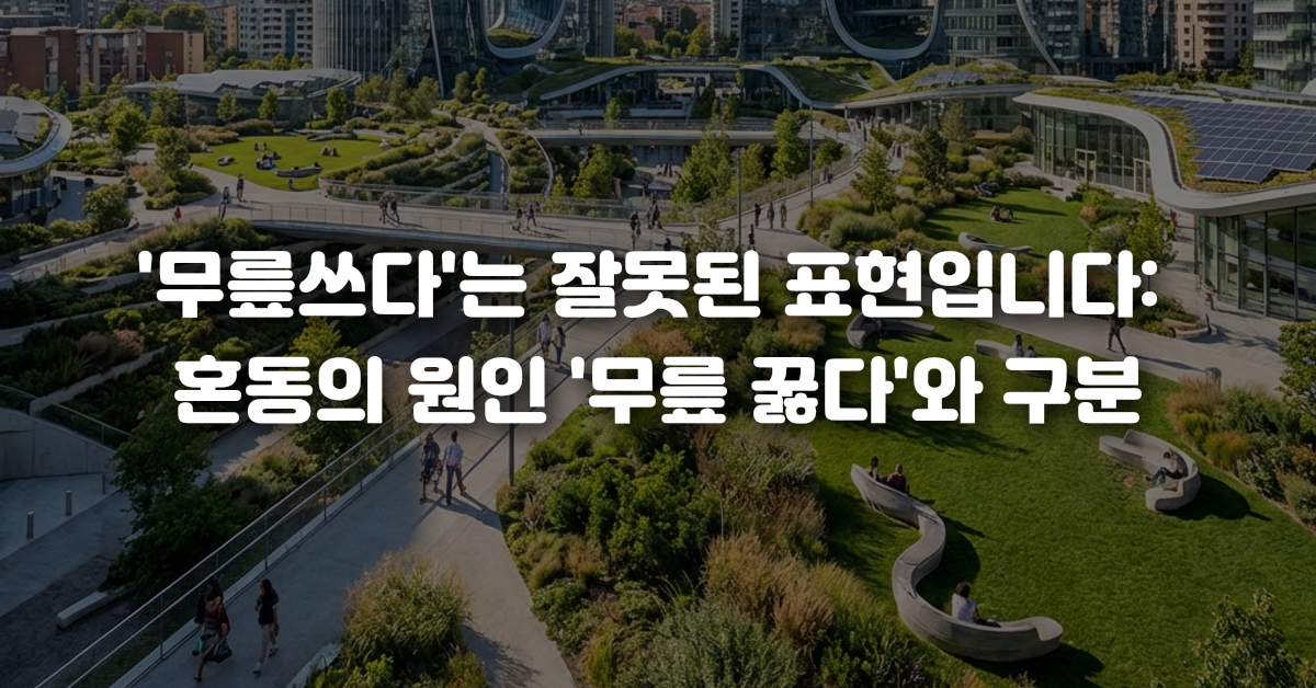 무릎쓰다 는 잘못된 표현입니다 혼동의 원인 무릎 꿇다 와 구분