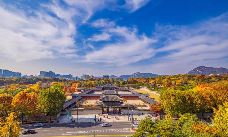 서울-단풍