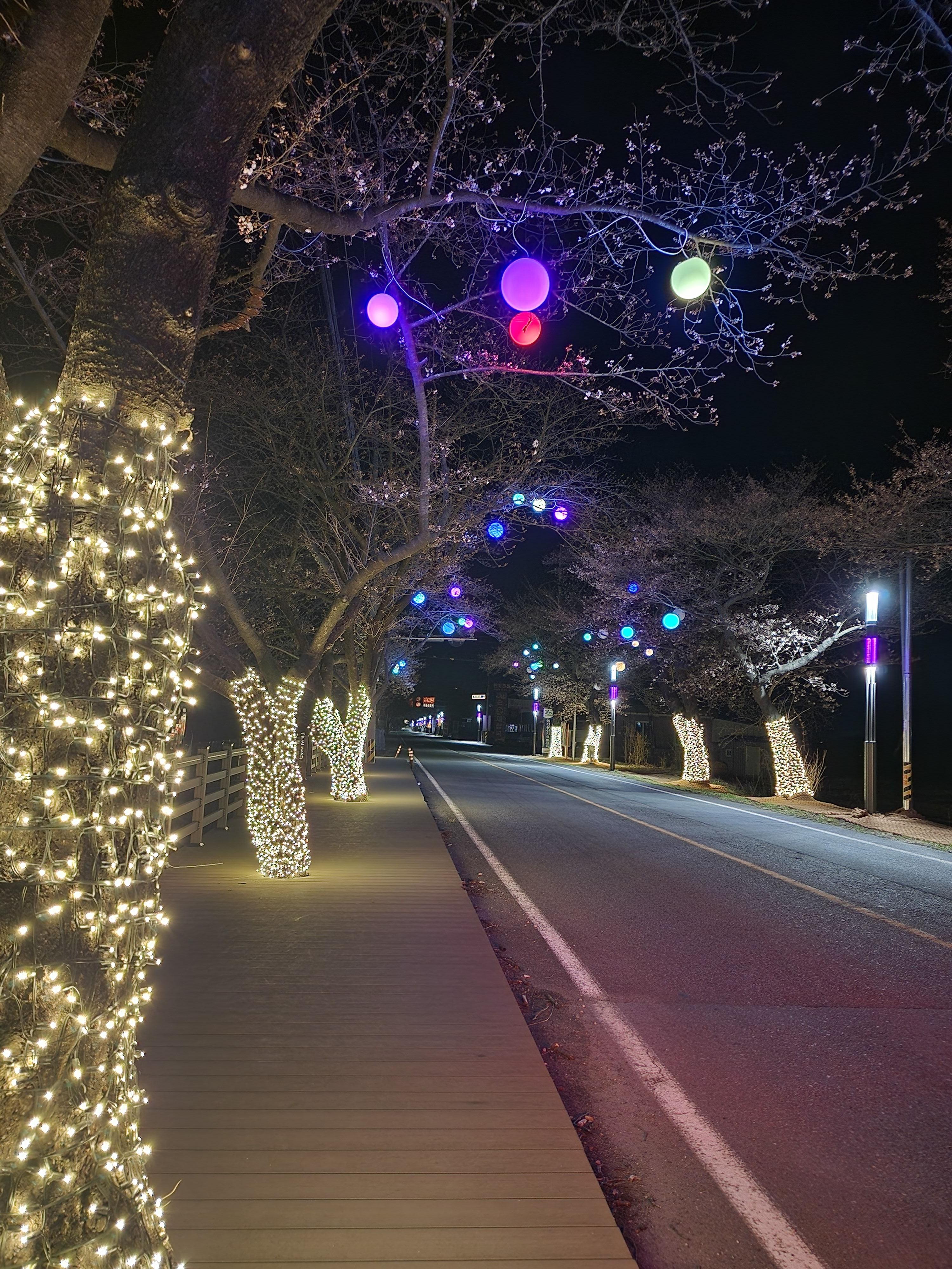 벗나무 기둥에는 꼬마전구, 가지에는 형형색색 전구
