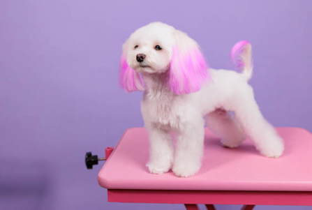 염색약－지우는법