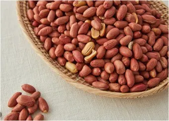 땅콩 심는 시기 재배 방법_13