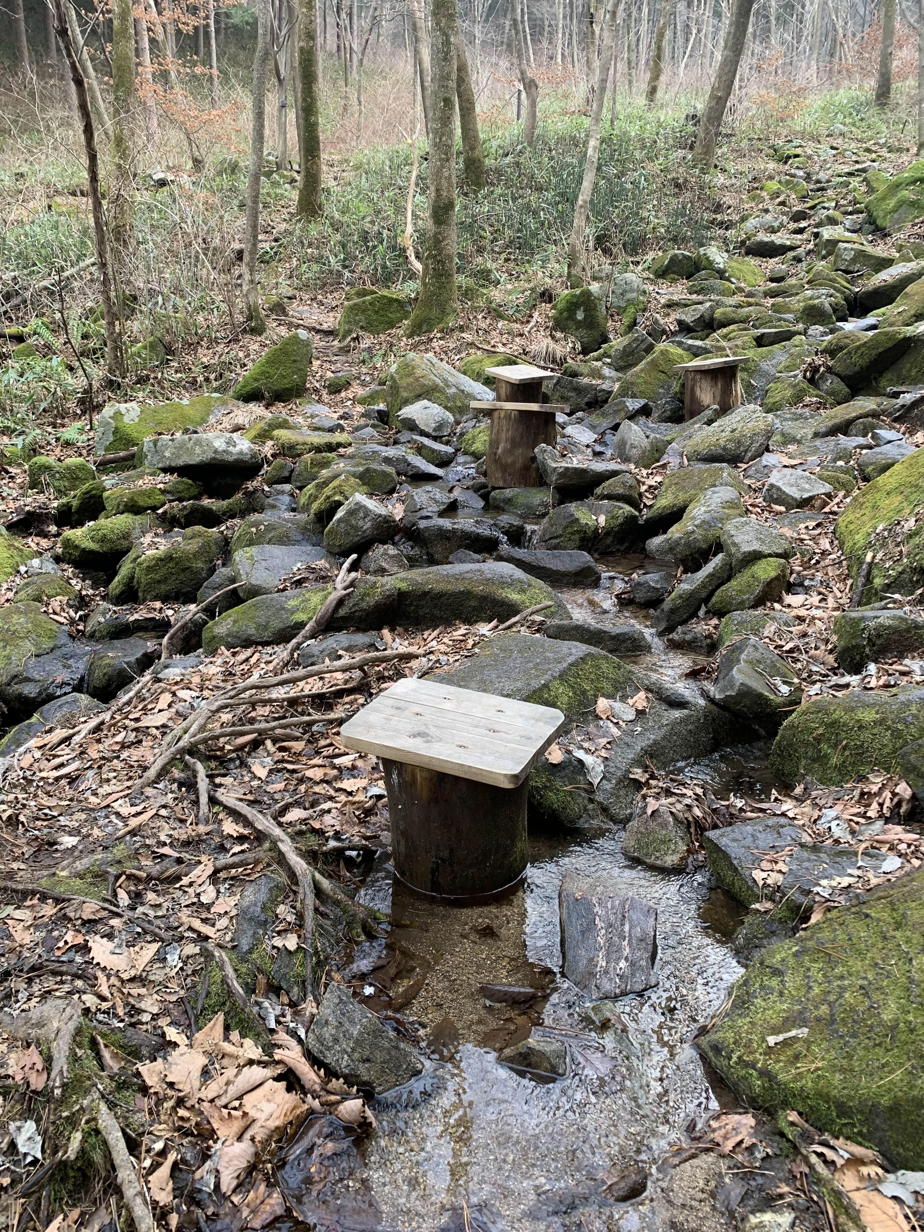 횡성 여행 청태산 자연휴양림