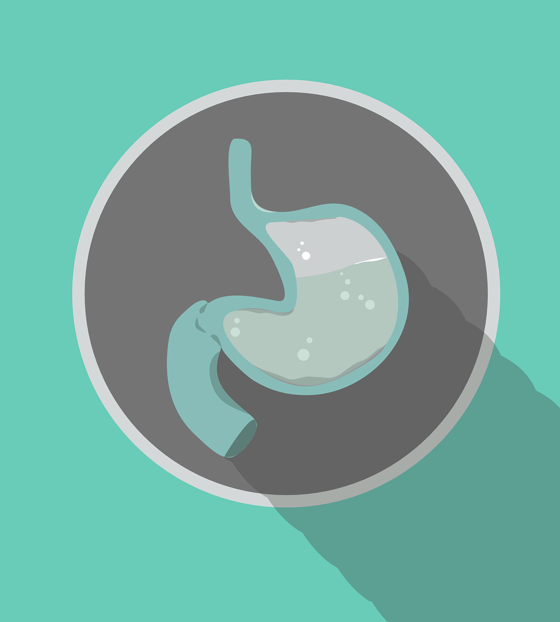 위 건강을 위한 저자극성 식단