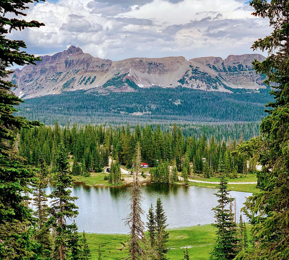 산림복지바우처