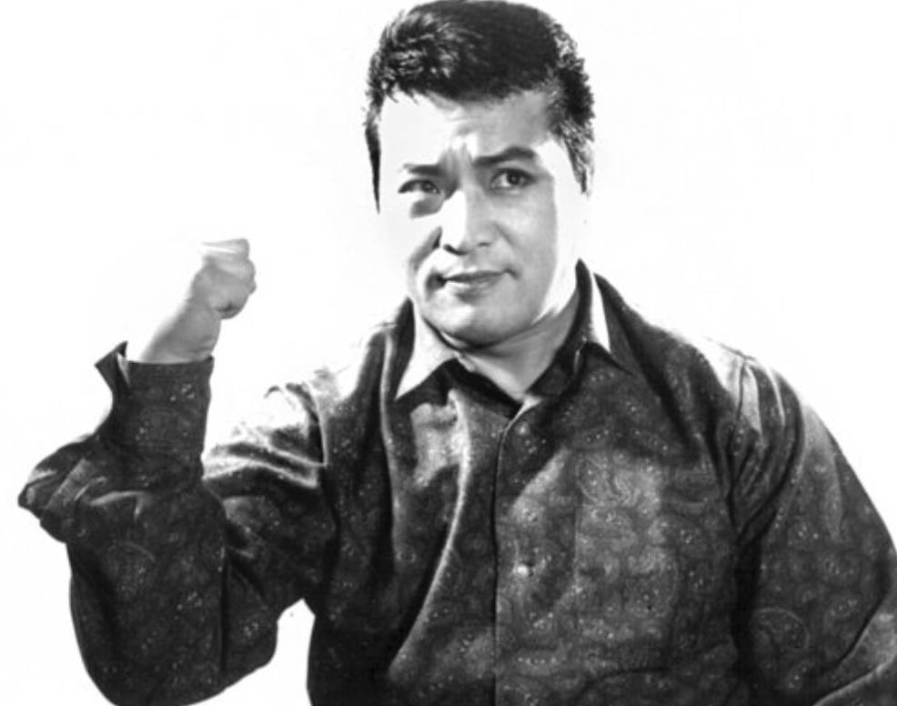 신영균 연기자 활동