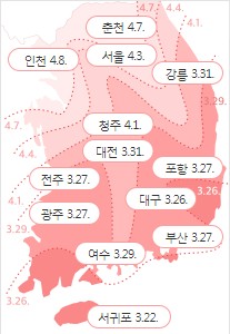 다음벚꽃