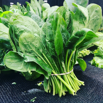 다낭성 난소증후군 좋은 음식