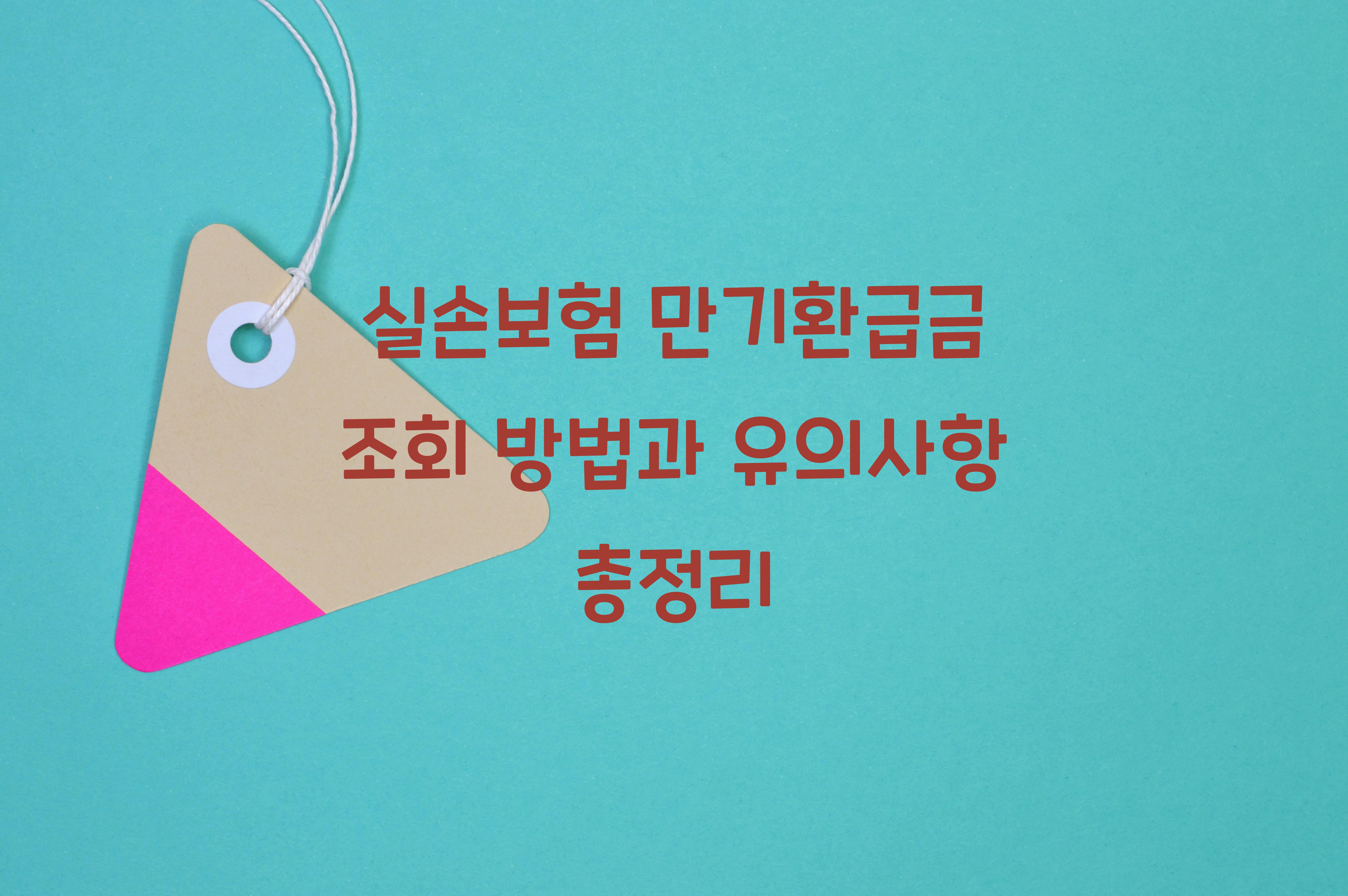 실손보험 만기환급금 조회