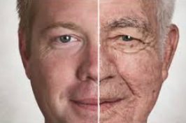 노화 방지를 위한 필수 전략: 수면, 음식, 운동, 생활습관 개선