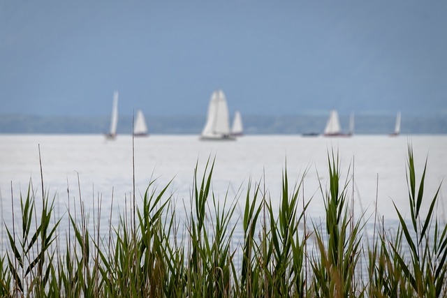 소수민족의 스포츠