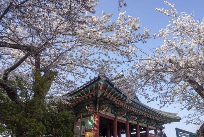 강원도 가볼만한곳 베스트10