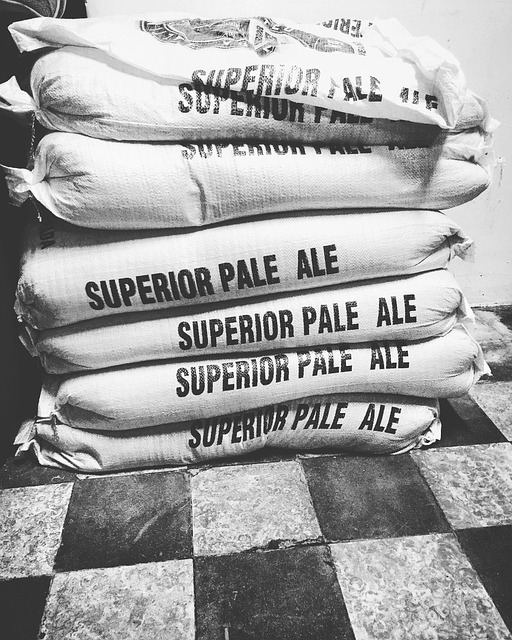 맥주 효모 효능 탈모