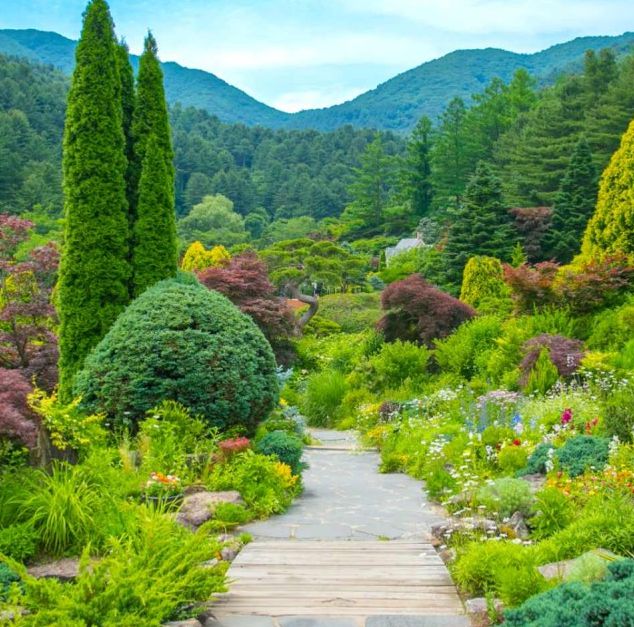 아침고요수목원