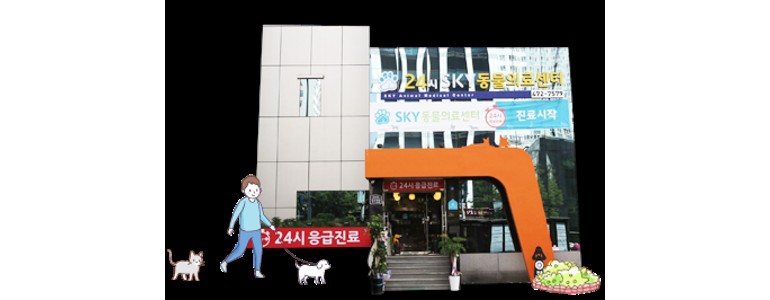 서울 강동구 동물병원