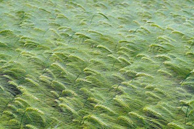 동두천자연휴양림예약숙소요금