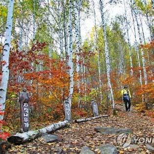 6월 국내여행지 추천