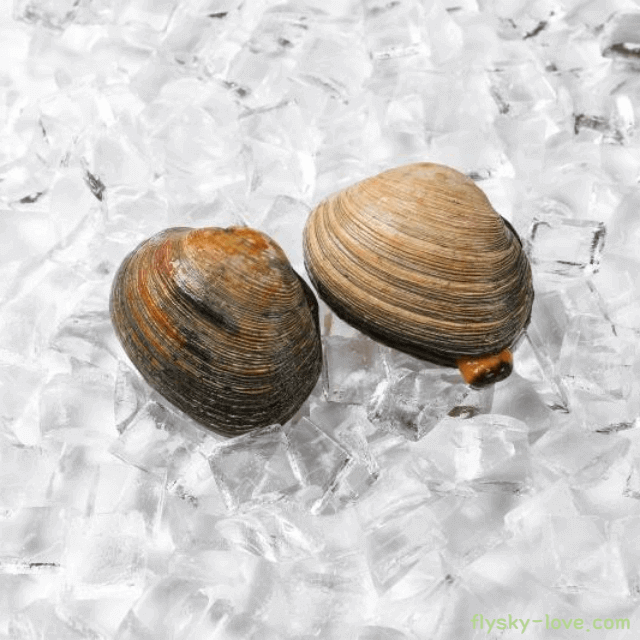 제철수산물 개조개