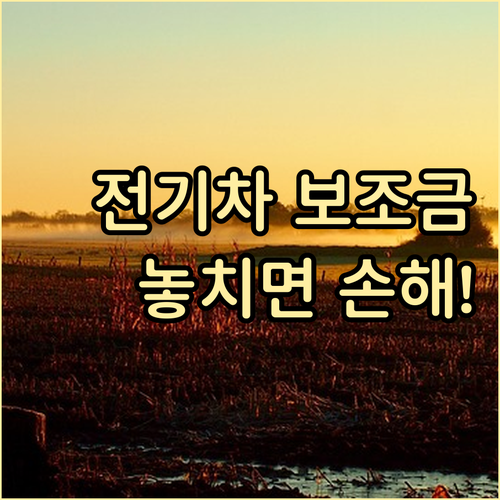 리스 장기렌트 이용 시 전기차 보조금..