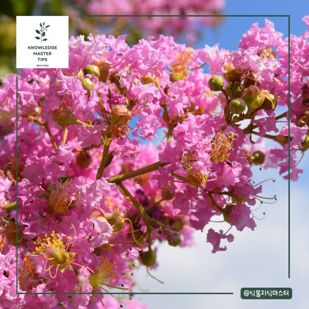 역사와 문화적 가치