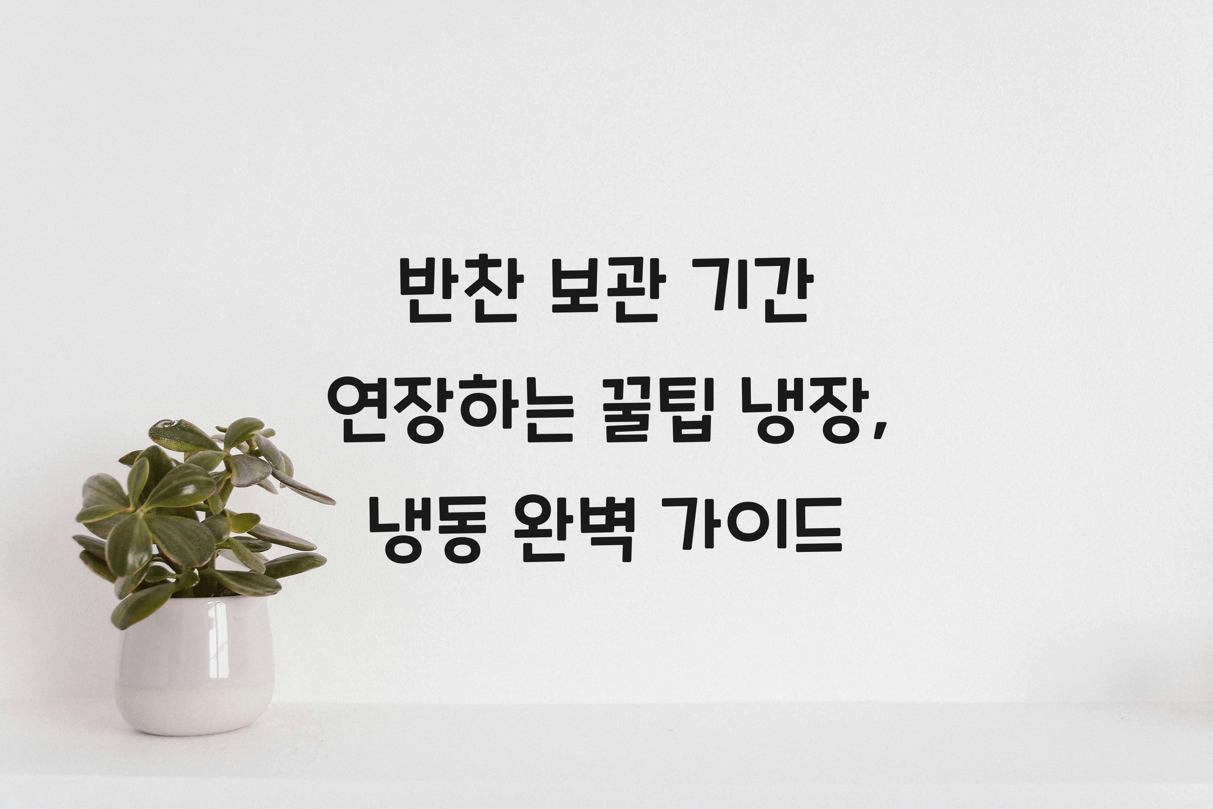 반찬 보관 기간 연장하는 꿀팁