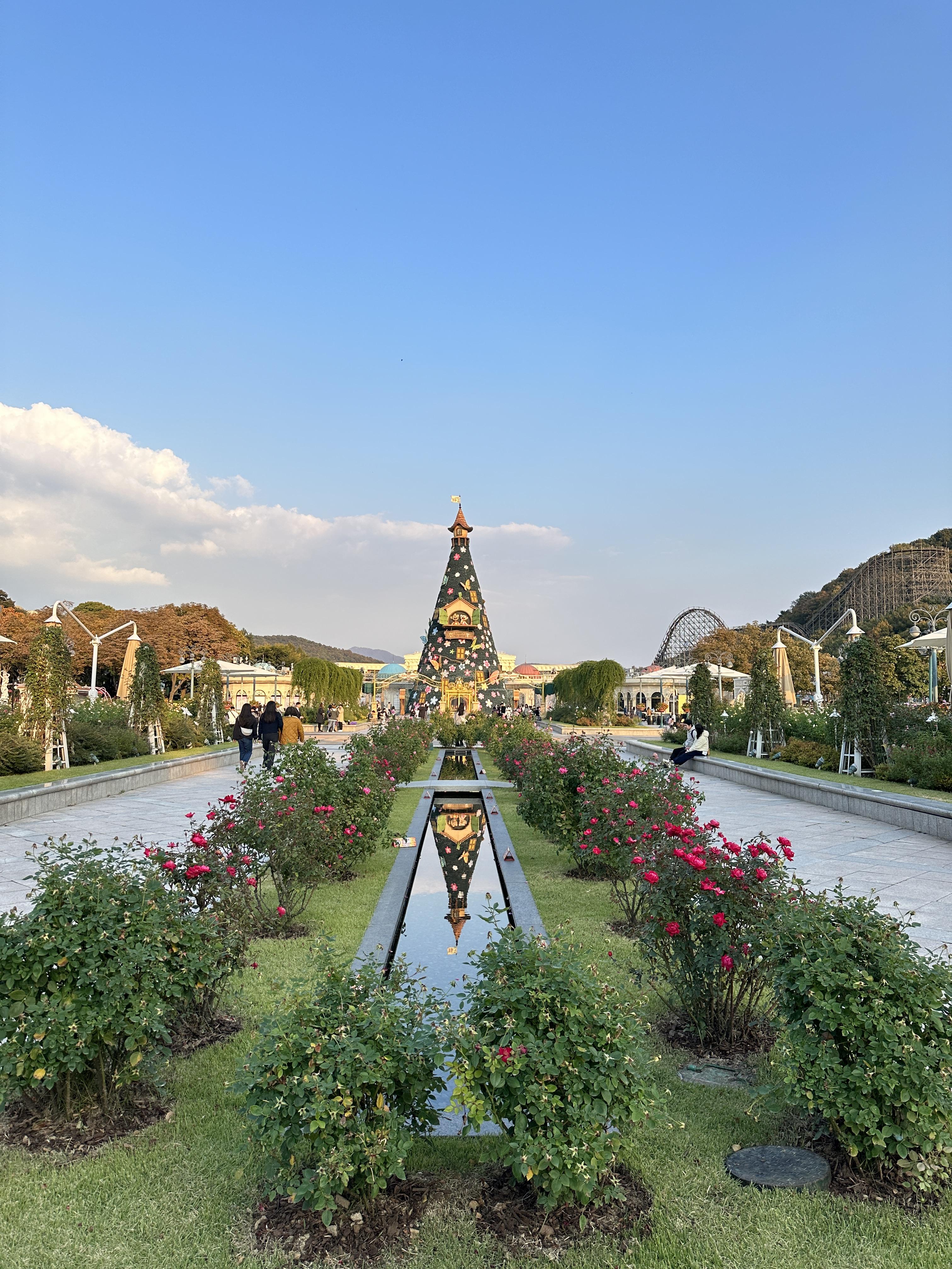 에버랜드 장미정원