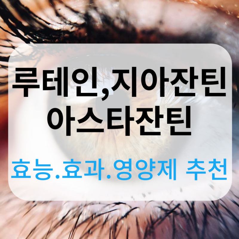 루테인 지아잔틴 아스타잔틴