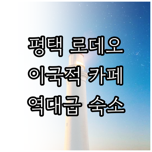 평택 로데오거리 이국적인 카페 정보와..