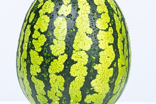 임산부 안좋은 과일&#44; &#39;수박&#39; 진짜 해로울까?